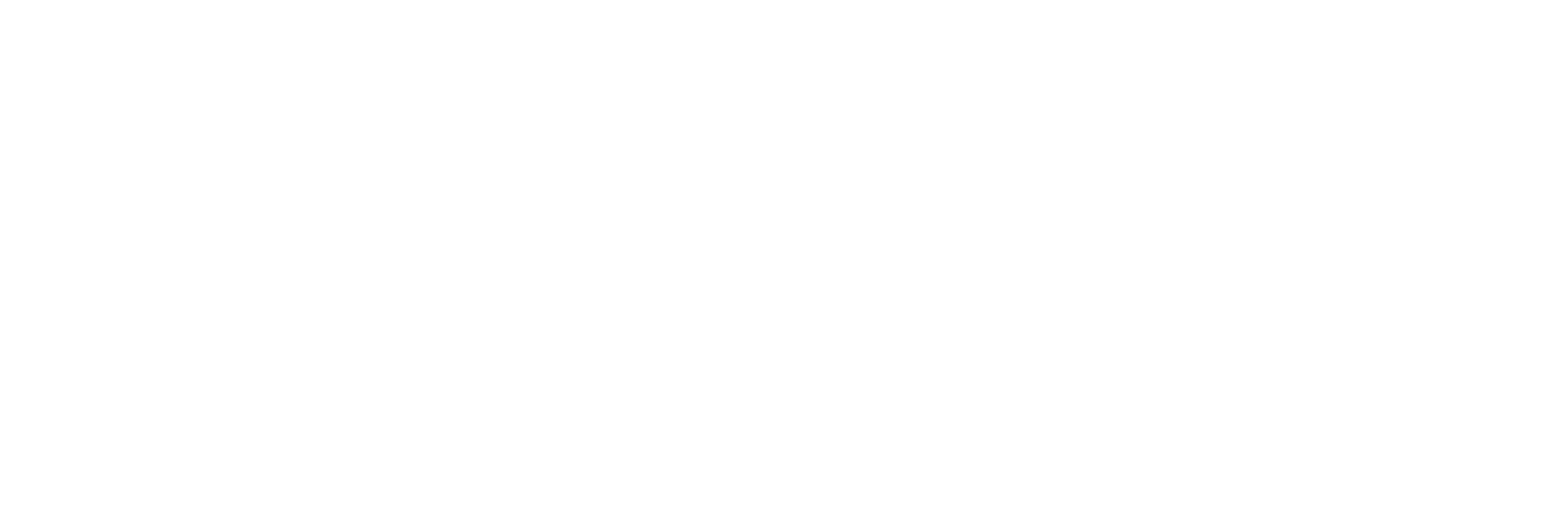 Digitivia